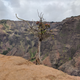 Illustration for article titled Waimea Canyon photo dump
